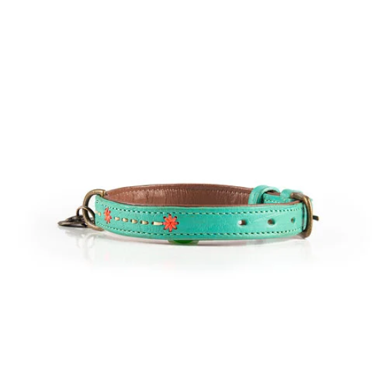 Dog with a Mission Halsband Janis